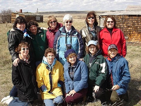 Robins in Grasslands National Park, April 2007