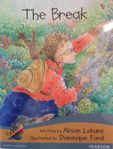 The Break, by Alison Lohans