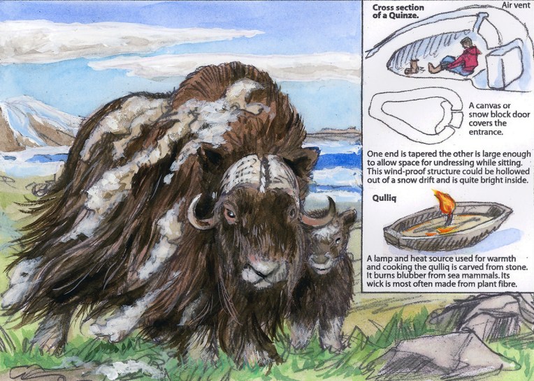 Canadian Shield Alphabet, Letter Q