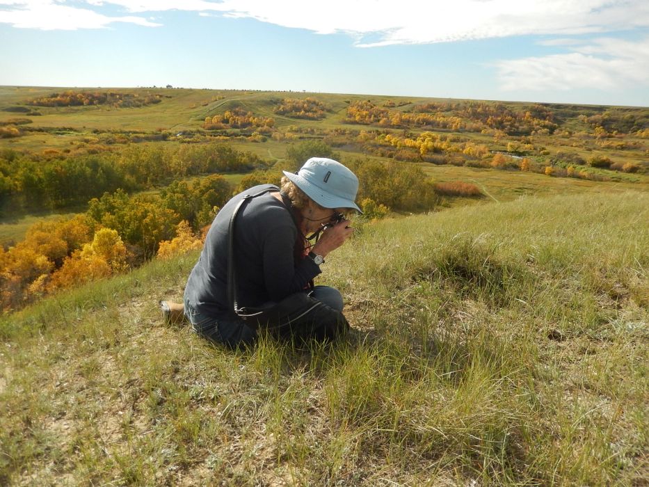 Anne at Wascana Trails, 2015