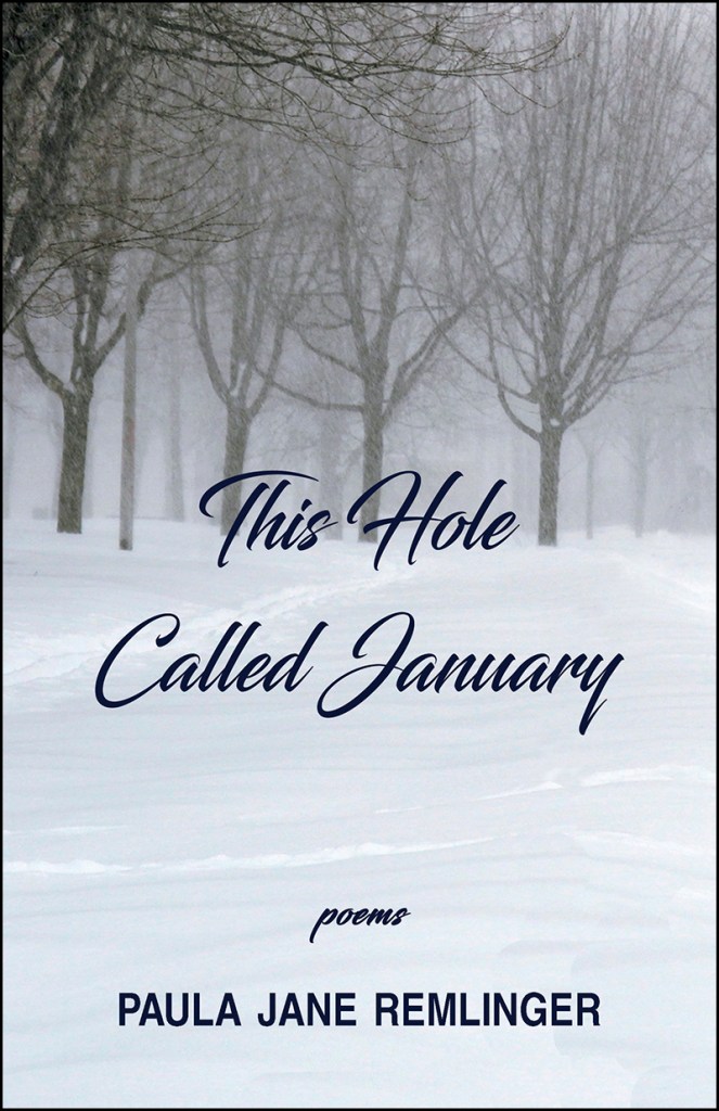 This Hole Called January, by Paula Jane Remlinger